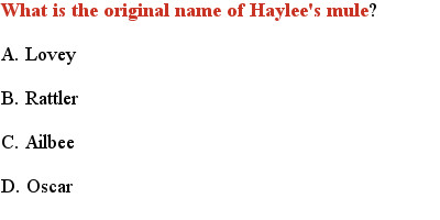 13 Haylee and the Traveler's Stone QUIZ