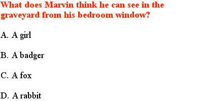 3 A Quiz for YA paranormal book, Marvin's Curse