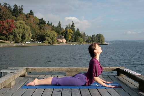 Bhujangasana