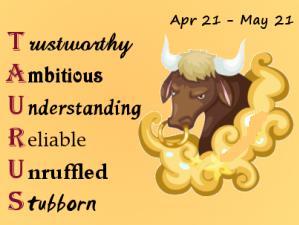 All About Taurus Man